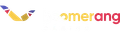 Boomerang light logo